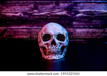 Human skull on a dark wooden background with red and blue illumination.