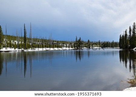 Picture of Reflections In The Yellowstone River, Yellowstone National Park and Preserve, Wyoming, USA. 