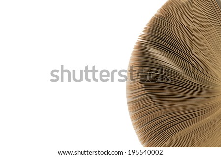 book abstraction on white background isolated 