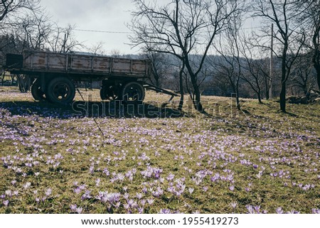 A truck is parked in a field