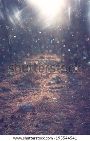 road in forest and light burst. processed image as fantasy or magical concept.