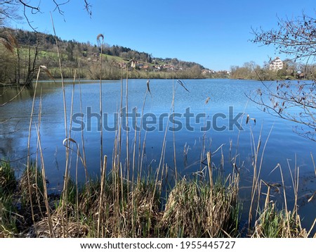 Late winter and early spring on the lake Mauensee or Lake Mauen (Mauesee) - Canton of Lucerne, Switzerland (Schweiz)