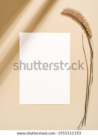 Minimalist simple design greeting card with dried tender spica. Neutral earth coloured mockup with hard light and shadow. To do list, invitation, poster or letter concept.