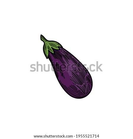 eggplant design logo vector template