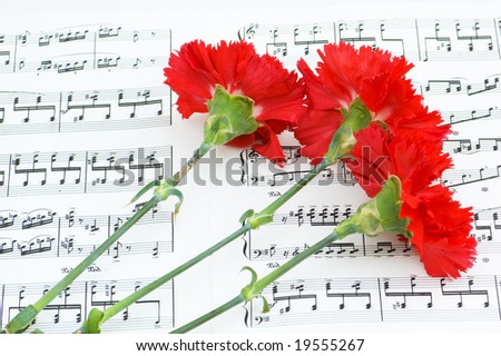 Romantic concept - red carnations flower on musical notes page