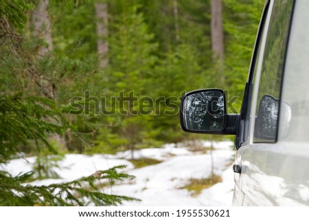 Cars parked in the forest. Improper parking of cars, protection of nature, walks in the forest - a healthy lifestyle. concept