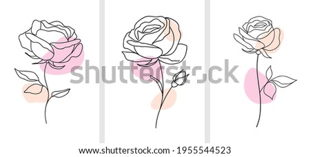 One line drawing. Decorative beautiful english garden rose with bud and color spots. Minimalist hand drawn sketch. Vector stock illustration. Royalty-Free Stock Photo #1955544523