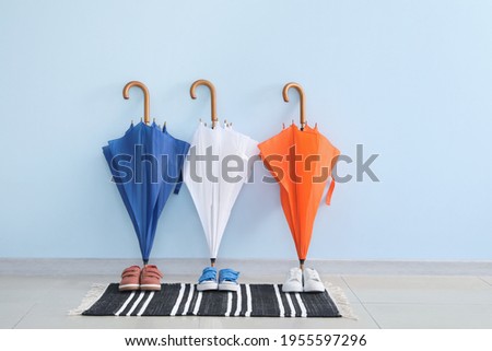 Stylish umbrellas and shoes near color wall