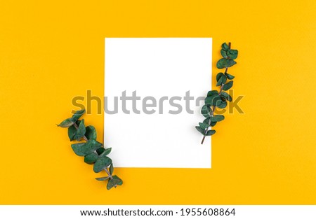 Flay lay minimal mockup or template with blank white paper card, greeting card concept with flowers, copy space photo