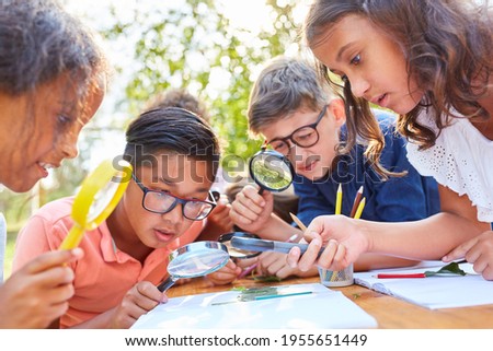 Inquisitive children look at leaf under magnifying glass in the ecological summer camp Royalty-Free Stock Photo #1955651449