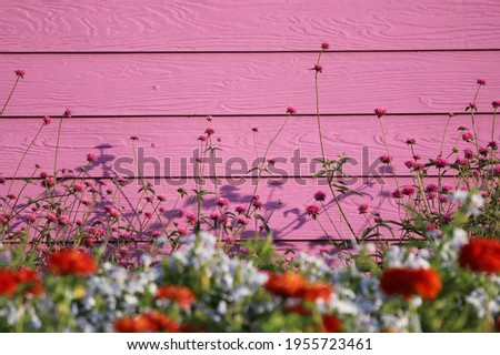 Freshness flowers blooming in the front yard near the wooden pink terrace background