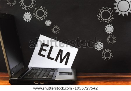 ELM programming language. Word Elm on paper and laptop 