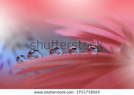 Beautiful Nature Background.Floral Art Design.Abstract Macro Photography.Gerbera Daisy Flower.Pastel Flowers.Pink Background.Creative Artistic Wallpaper.Wedding Invitation.Celebration,love.Close up. Royalty-Free Stock Photo #1955758069