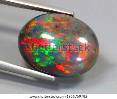 Natural gemstone black opal on gray background