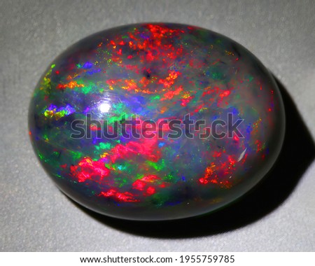 Natural gemstone black opal on gray background