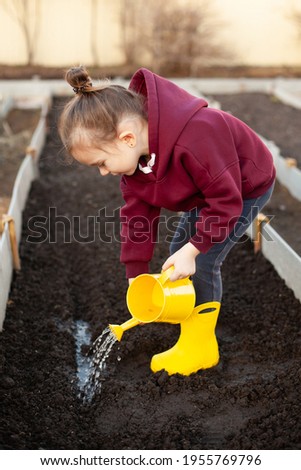 A child girl in yellow boots watering the ridge. A vegetable garden, a cottage, a village. Planting vegetables, fruits, flowers. horticulture. hobby. Spring and summer. High quality photo