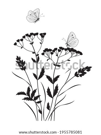 Monochrome composition with butterflies and wild flowers. Black silhouette of wildflowers, grasses, flying and sitting butterflies on white background. Vector illustration.