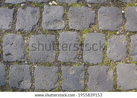 antique floor paving stones, gray with moss in the joints. Concept: background photo