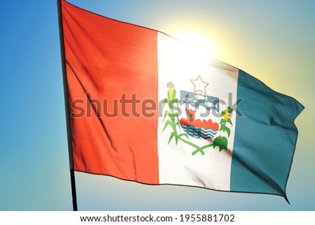 Alagoas state of Brazil flag waving on the wind in front of sun Royalty-Free Stock Photo #1955881702
