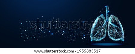 Lungs. Abstract image of a human lungs in the form of a starry sky or space, consisting of points, lines, and shapes in the form of planets, stars and the universe. Vector  Royalty-Free Stock Photo #1955883517