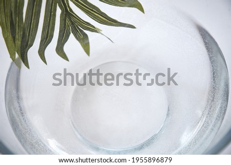 Fresh air and breath concept. Tropical leaves and water. Summer background, banner