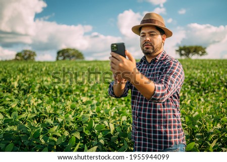 Farmer taking pictures of soybean plantation. Quality control. Agronomist's work. Brazilian Farm.