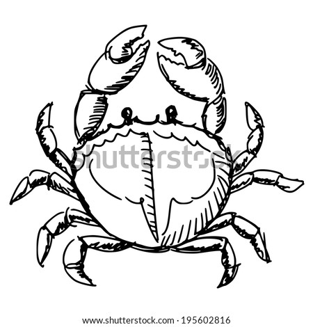 hand drawn, sketch, cartoon illustration of crab