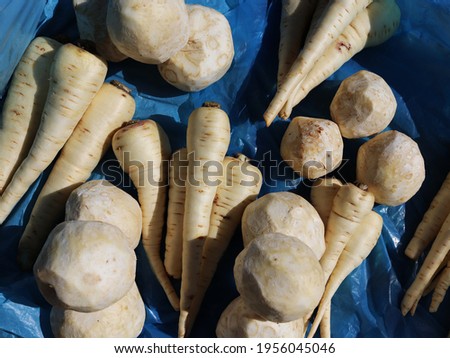 parsnips and salera white and peeled