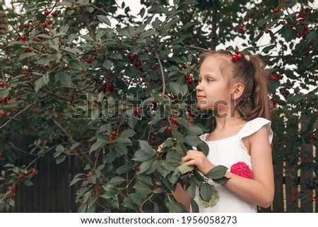 Little girl with cherries on her head near the cherry tree. A child stands by a tree and collects ripe cherries