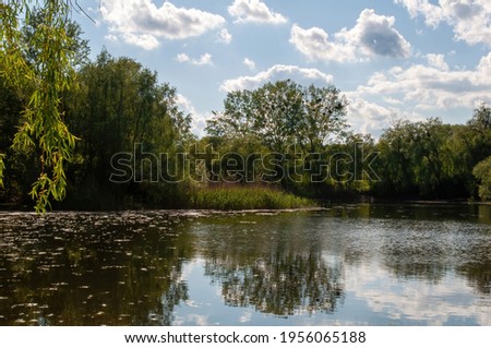 lake with trees in summer in the park. photo
