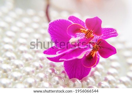 pearl and purple orchid on a white glas 