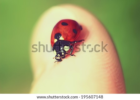 ladybug on a finger captured with small depth of field. Vintage picture