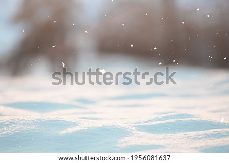 NATURAL LIGHT SNOW WINTER BACKGROUND WHILE SNOW FLAKES FALLING, CHRISTMAS BACKDROP BACKGROUNDS FOR MONTAGE