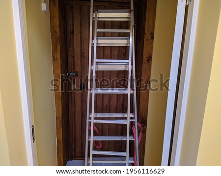 working metal stepladder in the closet on the background of a wooden door