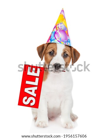 Jack russell terrier puppy  wearing a party cap holds sales symbol in it mouth. isolated on white background