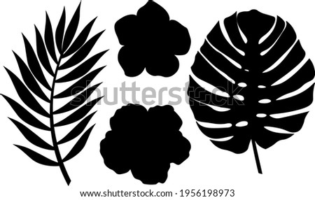 Tropical leaves flowers silhouettes monstera palm graphics vector illustration