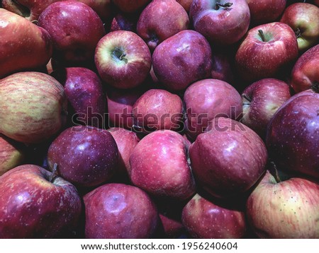 lot of red apples in the market closeup photo