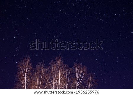 Night sky in the village