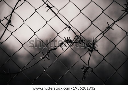 Old barbed wire is tangled on a chain-link fence that stands against a dark, overcast sky. Prison sentence. Restriction of freedom. Wartime.