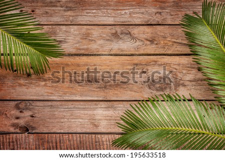 Palm tree leaves on vintage planked wood background - layout with free text space. 