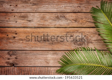 Palm tree leaves on vintage planked wood background - layout with free text space. 
