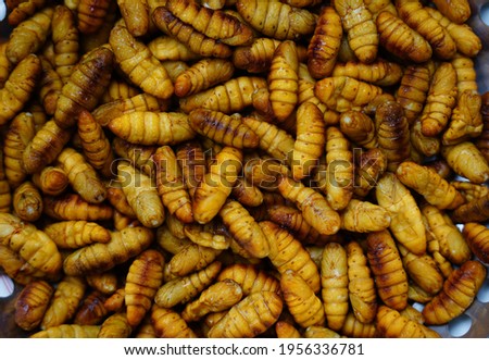 Closed up fried insects good ingredient and vitamin for Asian street food                                