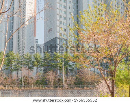 Warm spring and korean apartment.