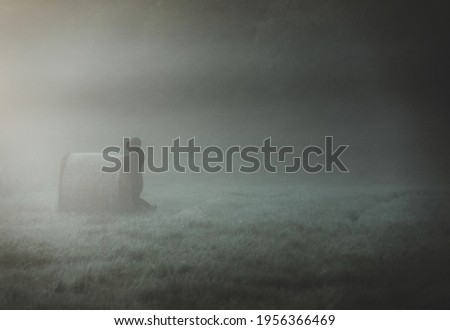 Mysterious figure in the fog