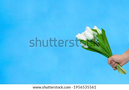 Banner Men hand with white Tulips bouquet on blue. Springtime Woman and mother day concept. Easter and spring card copyspace. Greeting card with 8 March, father day, wedding, birthday. Royalty-Free Stock Photo #1956535561