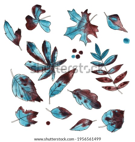 Isolated set of elements. Botanical decorative watercolor illustration. Leaves from the park. Blue and burgundy colors. For wedding invitations and cards 