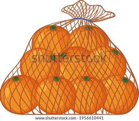 Oranges in net bag cartoon style isolated on white background illustration