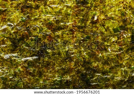 Nori textured background matte in full screen. Dried nori seaweed for sushi