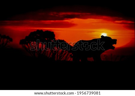 Silhouettes of animal on golden cloudy sunset background. Bear in wildlife background. Beauty in color and freedom.