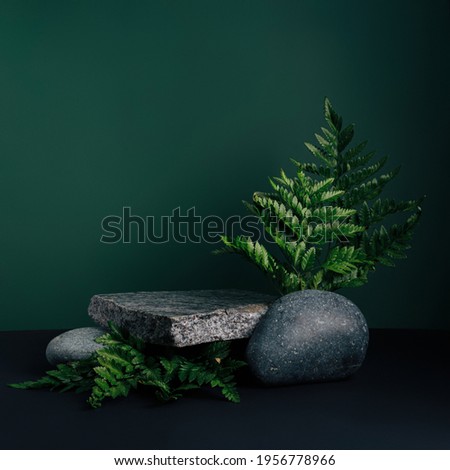 Luxurious empty product marble stone podium and forest green leaves on dark background. Concept scene stage for promotion, sale, presentation or cosmetic. Black minimal mock up template. Royalty-Free Stock Photo #1956778966